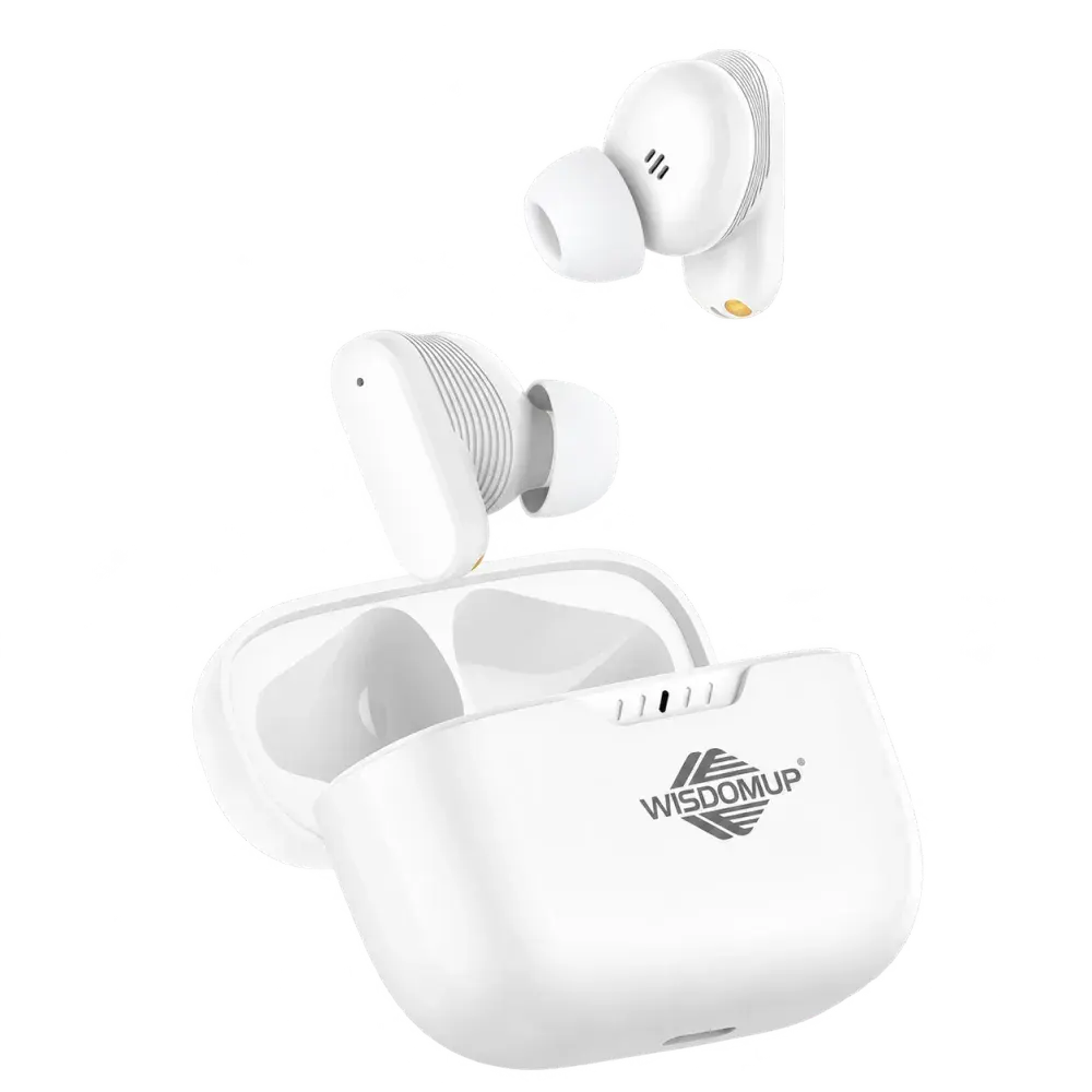 Wisdomup TS-10 True Wireless Earbuds