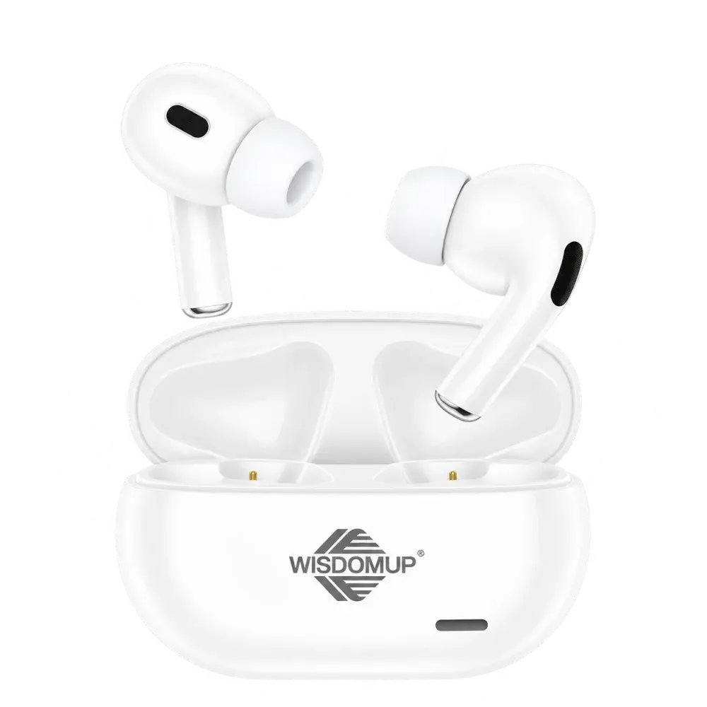 Wisdomup TS-11 True Wireless Earbuds