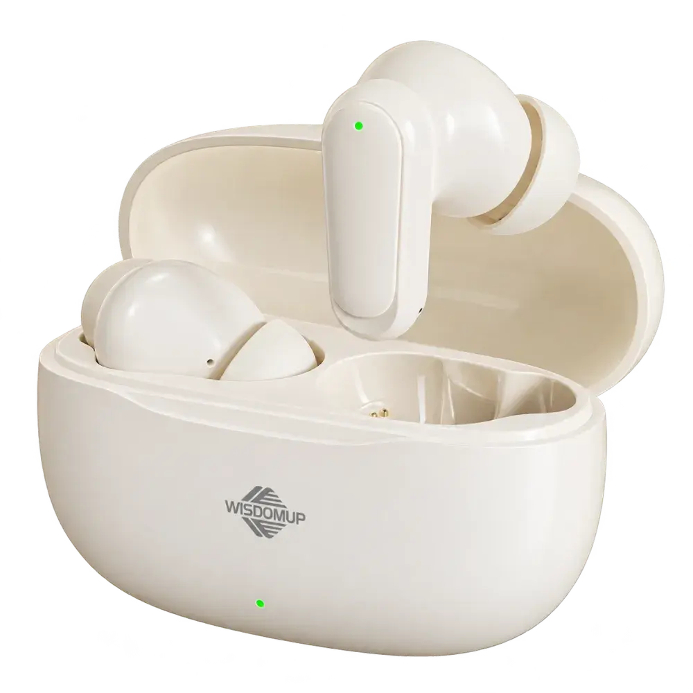 Wisdomup TS-13 True Wireless Earbuds