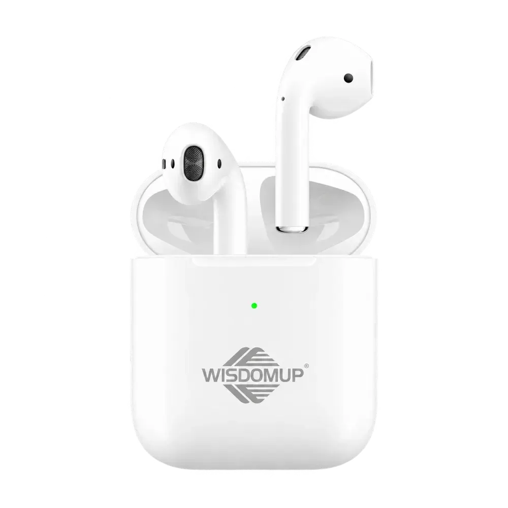 Wisdomup TS-2 True Wireless Earbuds