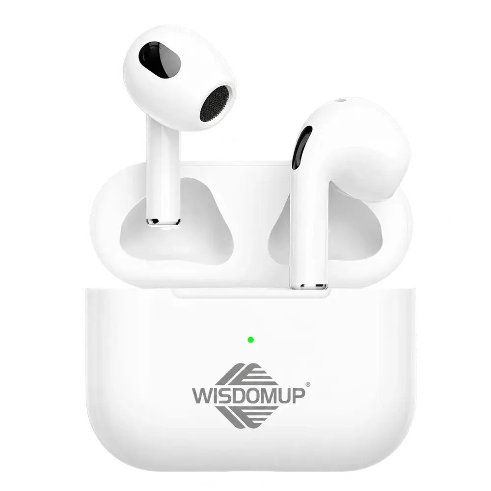 Wisdomup TS-4 True Wireless Earbuds