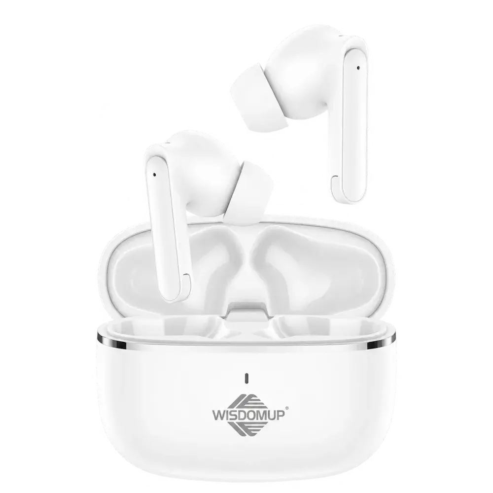 Wisdomup TS-8 True Wireless Earbuds