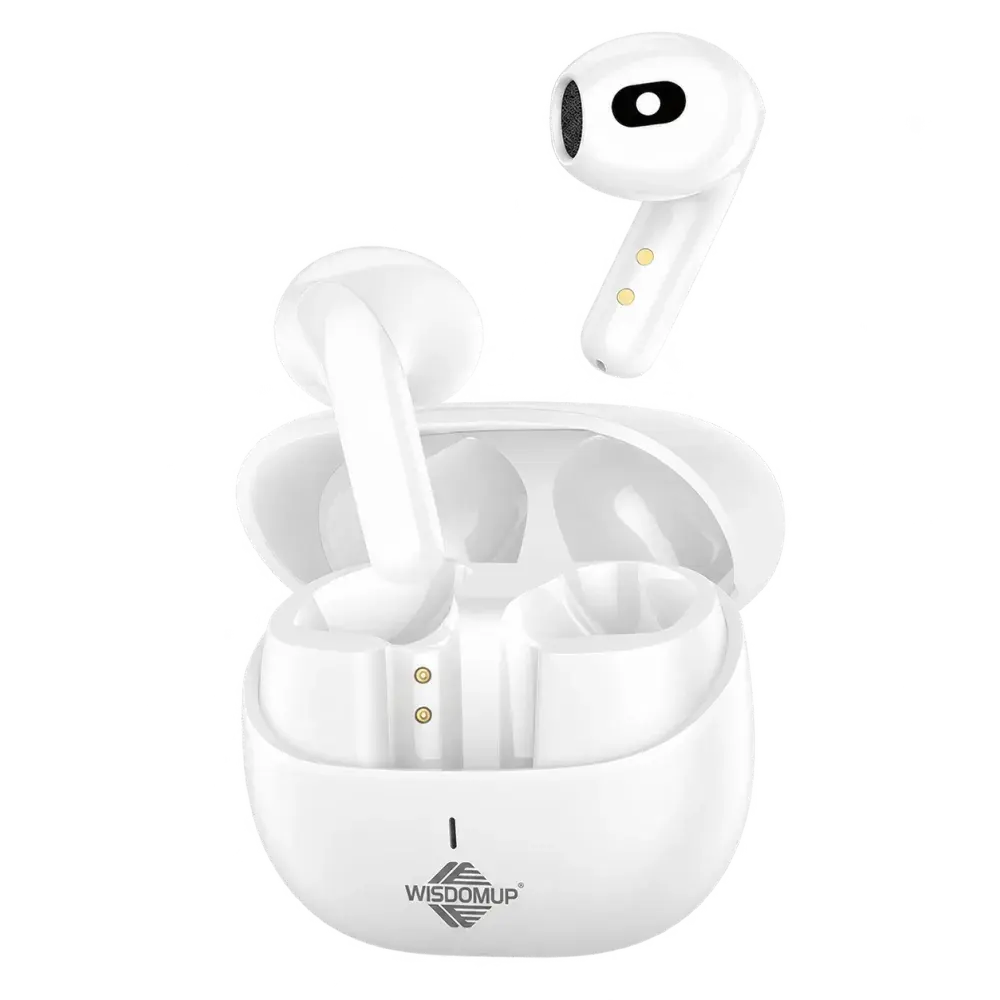 Wisdomup TS-9 True Wireless Earbuds